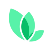 ceyloan logo last.png